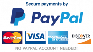 Secure Payment system