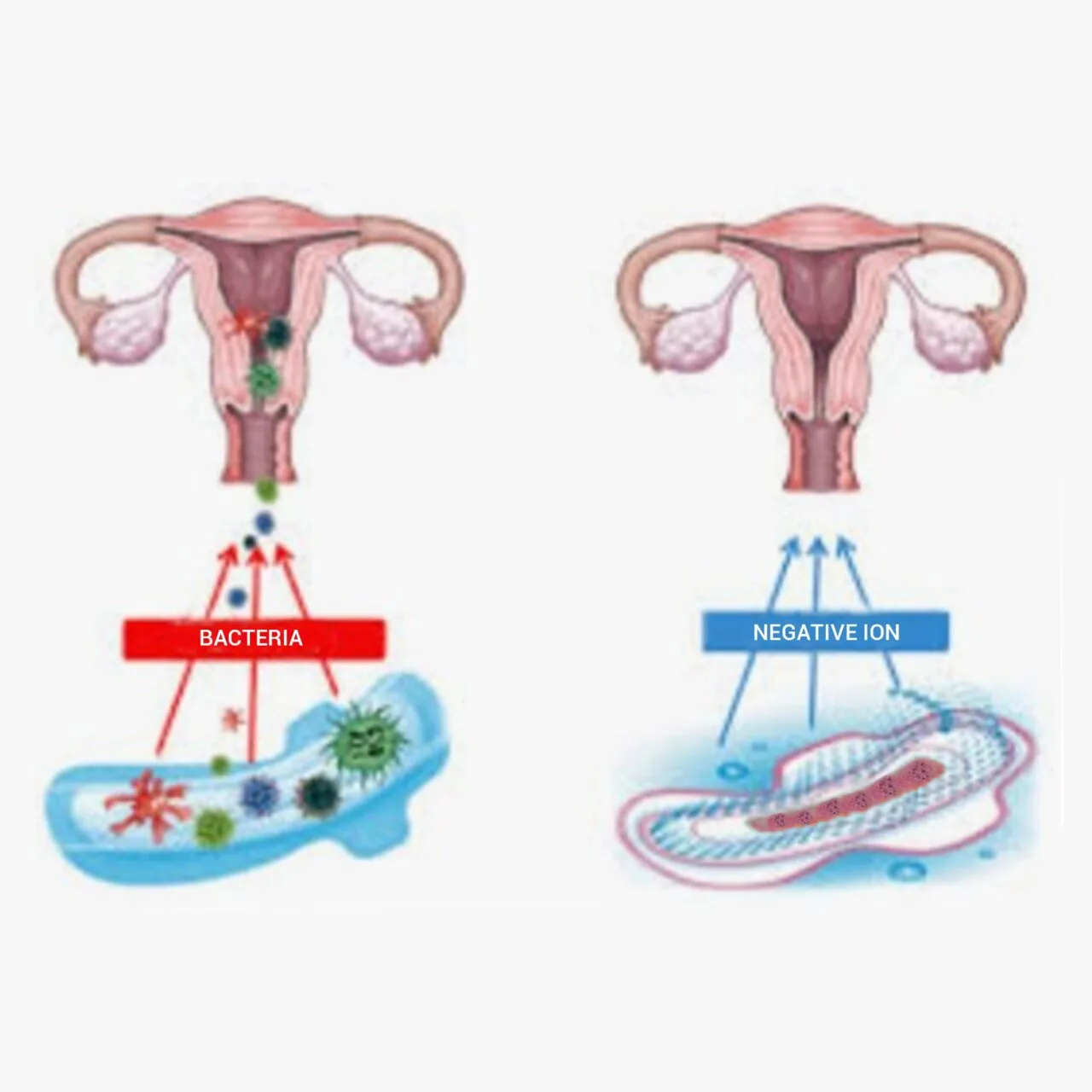 the-odora eco friendly organic sanitary